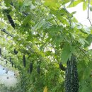 해품은농장 이미지