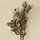 우리꽃집 이미지