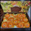 다미 농장 이미지