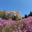 춘의역 (6번 출구) 이미지