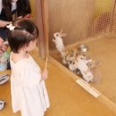 무럭무럭농장 | 13개월 아기랑 용인 무럭무럭 농장 방문 솔직후기🐇-주차/비용/모래놀이터