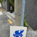 달콤한 오후 | 경복궁 카페 크레페보이에서 달콤한 오후, 딸기 크레페와 넛라떼 후기 🍓☕