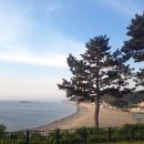 해파랑길펜션 이미지