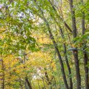 계남공원 이미지