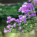 선기로2-4 이미지