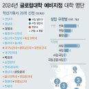 글로컬대 20곳 예비지정…사립 약진, 전문대·초광역 진입 이미지