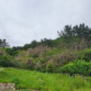 회성동267 이미지