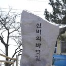 충남 보령시(保寧市) 이야기 /일만성철용 이미지