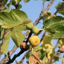 서초중앙로24길 55 이미지