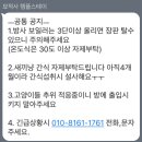 소요스테이 | 묘적사 템플스테이 내돈내산 후기