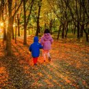 신정문약국 이미지