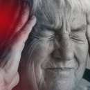 몬스터PT 이미지