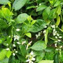 그림책지도사 자격증과정 이미지