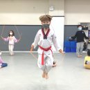 초은 스탈릿 백호 태권도장 이미지