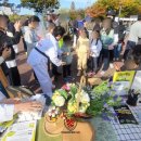 경희대 키즈 태권도장 이미지