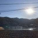 고향보리밥집 앞 이미지