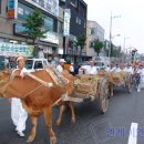 안동간고등어 이미지