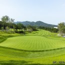 중부대로798번길 이미지