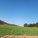 핑크섬 민박 이미지