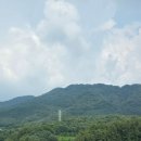 660 | [카페] 포천 고모리 카페_팜브릿지(Palm Bridge), 솔직후기 내돈내산