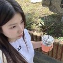 한라태권도 본관 | 필름카메라/일회용카메라 혼여 9월 우당탕 제주도 여행기 1일차/소품샵/게하 후기