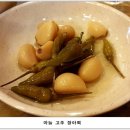 남한강 물고기 이미지