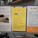 금화효소원 네이버블로그