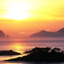 진도보배섬특산품 이미지