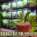 호텔네이처 부산신항점 | 부산 파충류, 수족관 이색 카페- 어반네이처 체험커피숍