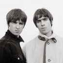 오아시스 이미지