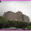 대명청과 - 금천구 시흥대로62길 37 | 대명청과
