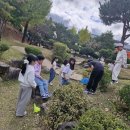 양구초등학교 이미지