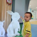 거꾸로 옛이야기나라숲 이미지