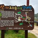 카페보리 | 화순 보리밥 맛집 도곡보리밥｜현지인이 찾는 한상 + 보리카페까지 후기(영업시간·메뉴)