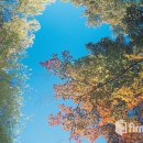 아동심리치료사자격 이미지