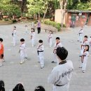 진향태권도장 이미지