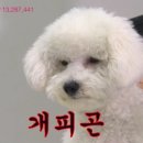 어뉴골프롯데 - 부천시 원미구 길주로 300 | 어뉴골프롯데