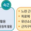 피지오스 이미지