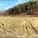 경일아파트 이미지