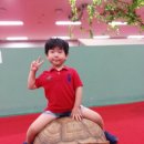 승민애견 이미지