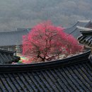 구례약국 이미지