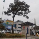 조치원읍사무소 이미지