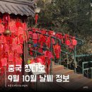 청도양조 | 중국 칭다오 날씨 9월 10월 청도 자유여행 준비물 맥주박물관