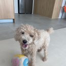 안녕, 뭉실 이미지