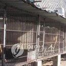 이상오농장 이미지