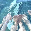 rest in jeju | [제주여행] 앰버퓨어힐 호텔&amp;리조트 숙박, 뷔페 후기!