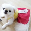 나예옷 이미지