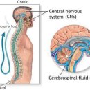 골든정형외과의원 이미지
