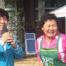 신암초교 이미지