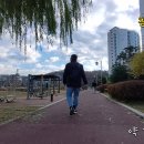 청수호수공원 이미지